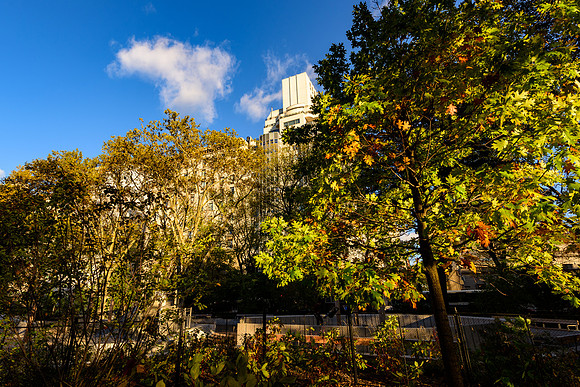 DSC_3712181LR
