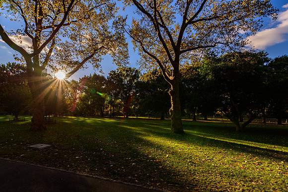 DSC_3701170LR