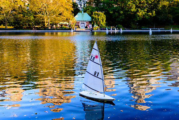 DSC_3758227LR