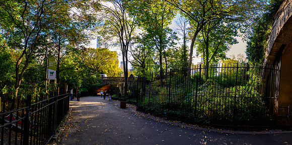 DSC_361382LR-Pano