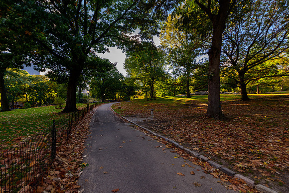 DSC_3661130LR