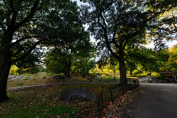 DSC_3657126LR