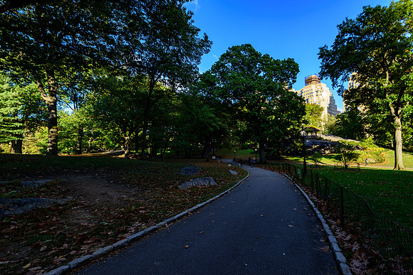 DSC_3654123LR