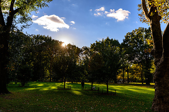DSC_3700169LR
