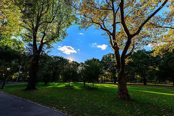 DSC_3699168LR