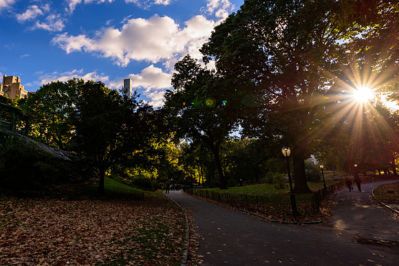 DSC_3678147LR