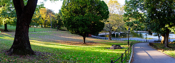 DSC_3731200LR-Pano