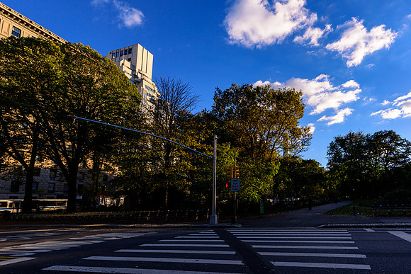 DSC_3727197LR