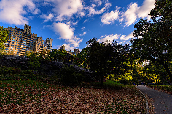 DSC_3671140LR
