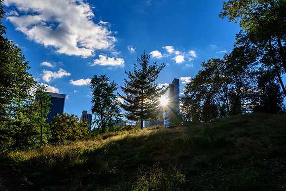 DSC_3640109LR