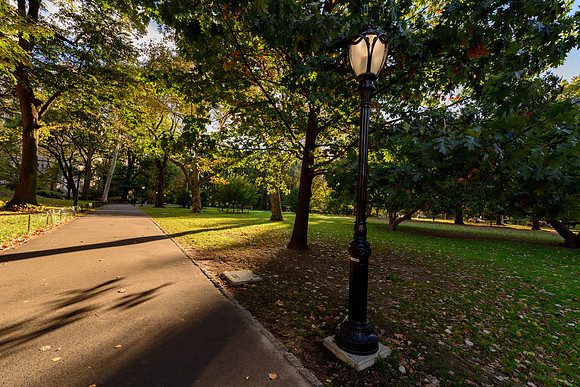 DSC_3705174LR